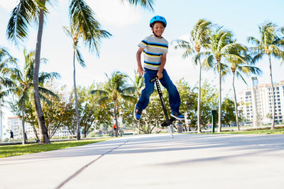 Flybar Maverick Pogo Black Lightning Bolt