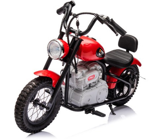 Single Rider Cruiser Bike 36V with Free Customized Plates