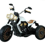 3 Wheels Motorcycle with Free Customized Plates