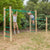 Lifespan Kids Amazon 2.5m Monkey Bars Set
